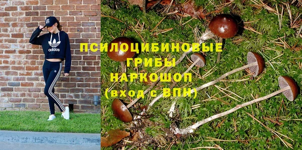 героин Рославль