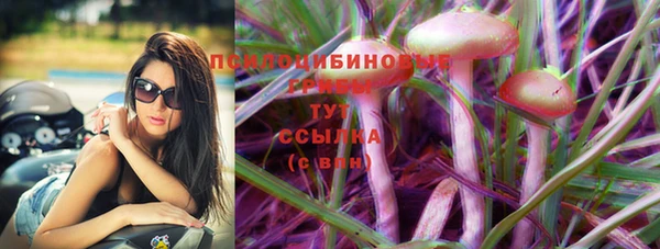 стафф Ростов