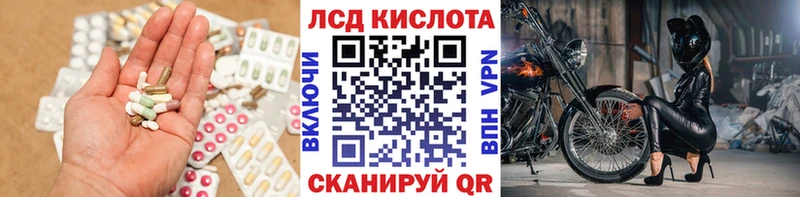 Лсд 25 экстази кислота  блэк спрут как войти  Каргополь 