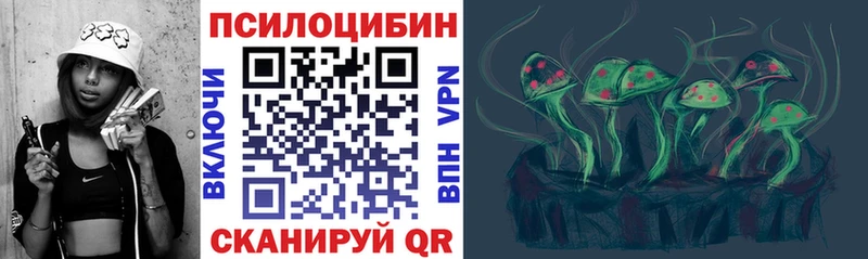 Псилоцибиновые грибы Psilocybe  Каргополь 